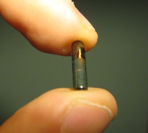 Implantable RFID chip